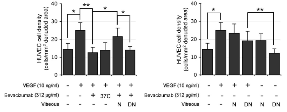 avastin structure. of Bevacizumab (Avastin)