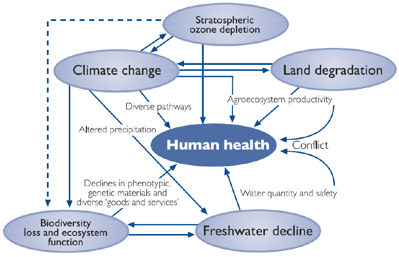 A good thesis statement for climate change How do you write a global