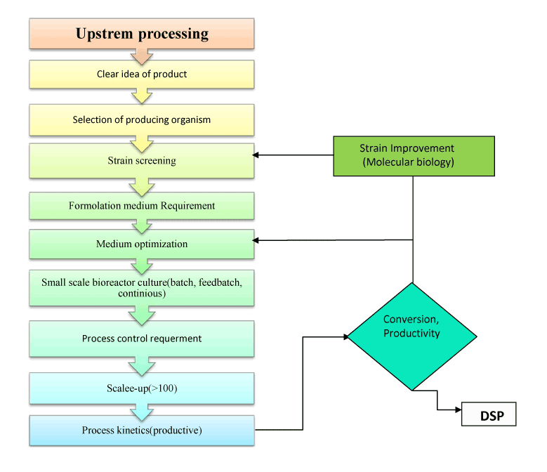Upstream Processing Flow Chart