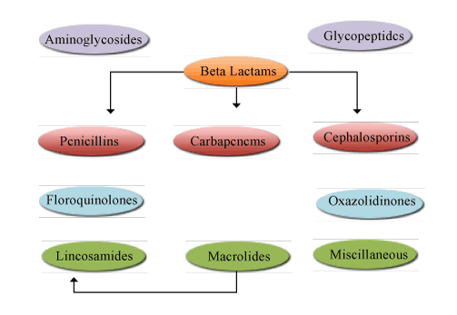 pdf narrative