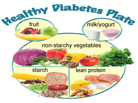 Anabolic diet meal plan pdf