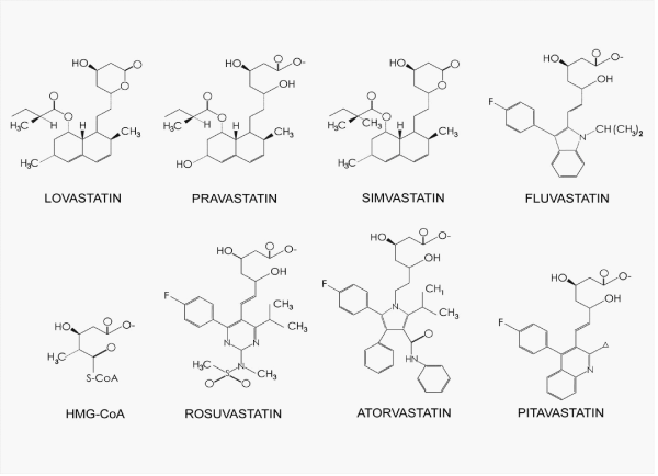 Fluvastatin picture photo Fluvastatin