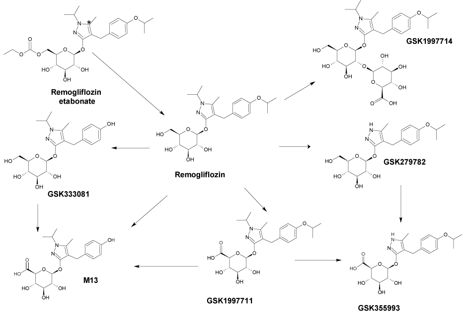 Image result for REMOGLIFLOZIN SYNTHESIS