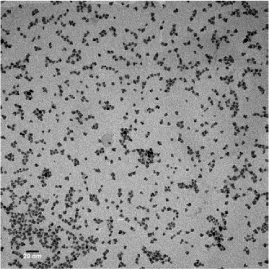 microscopic
