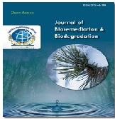 flyer image