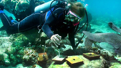 marine biology research articles Here's a one-stop shop to learn about the impacts of vims research choose a topic to access related top stories, advisory service reports, journal articles, theses. marine biology research articles Here's a one-stop shop to learn about the impacts of vims research choose a topic to access related top stories, advisory service reports, journal articles, theses.