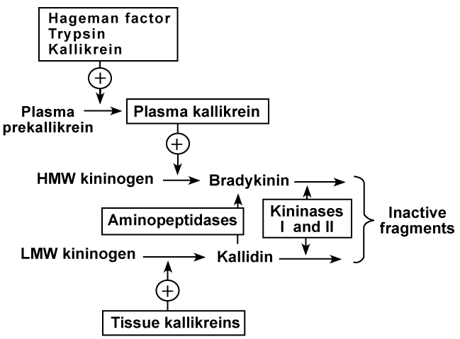 download bestimmungstabellen der blattminen von europa einschliesslich des mittelmeerbeckens