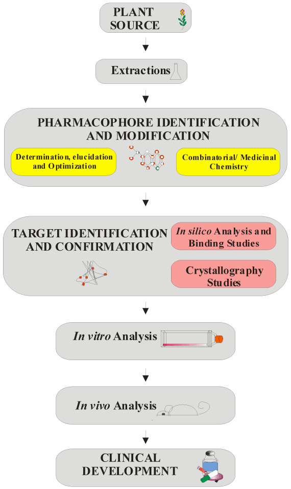 phd thesis on phytochemistry phd thesis on phytochemistry