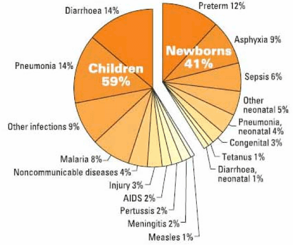 Informative essay about cancer