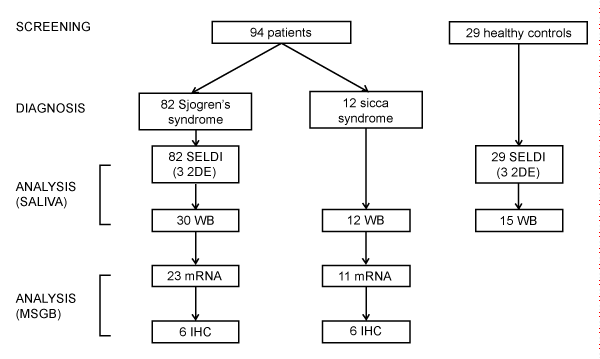 Flow thesis