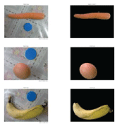 fruits