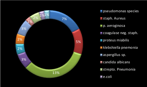 Percentage