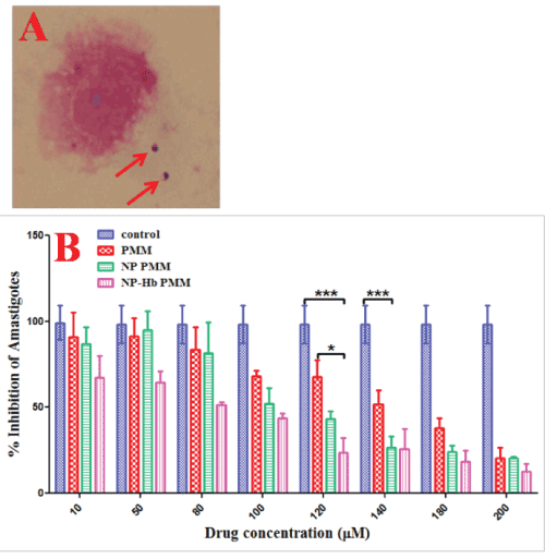 leishmania