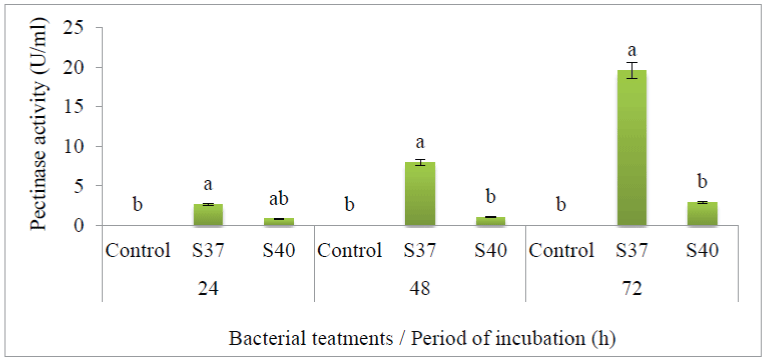 Pectinase