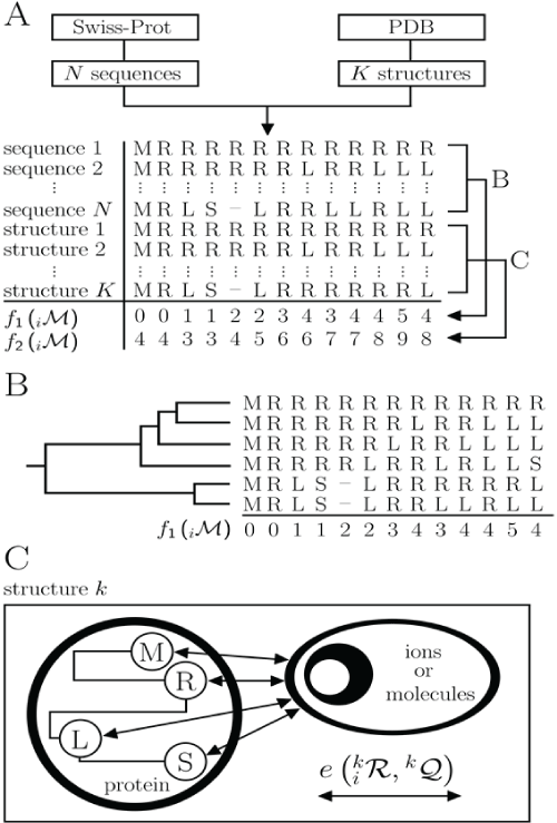 sequences