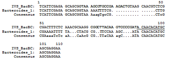 Sequence