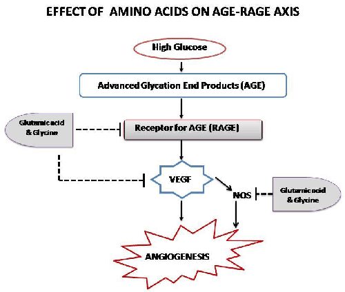 mino acids on age