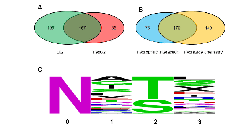 N-glycopeptides