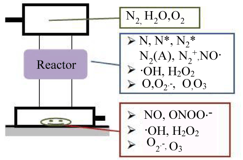 mechanism