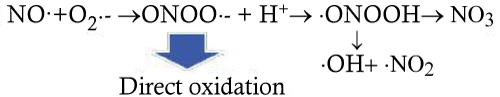 peroxynitrite