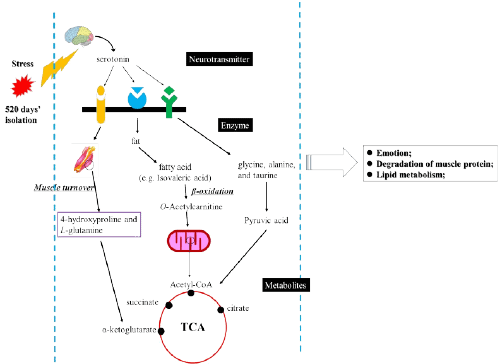 Mapping