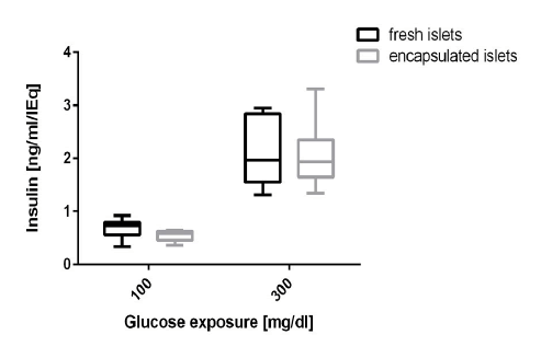 insulin
