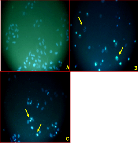 assays