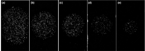 particles