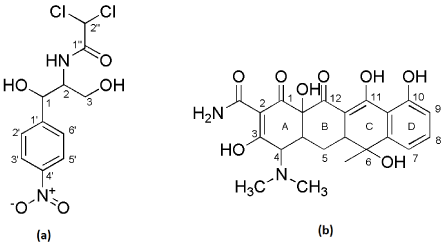 chloramphenicol