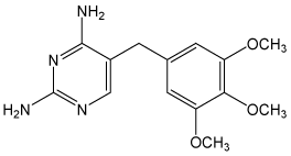 molecular