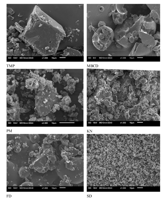 microphotographs