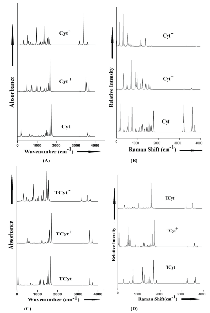 Spectra