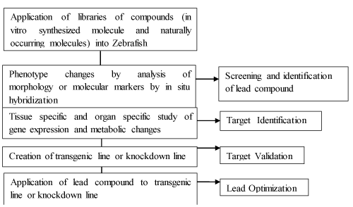 Zebrafish