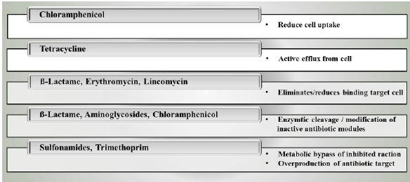 mechanisms
