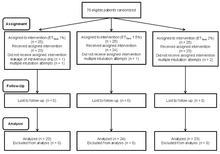 Study Flow Chart