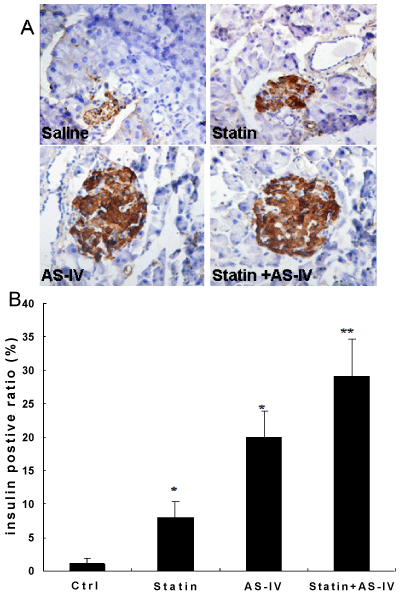 Immunohistochemistry