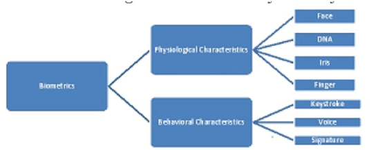 Physiological