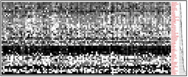 generated