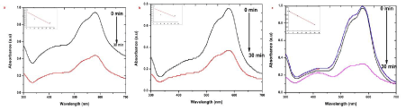 catalysis