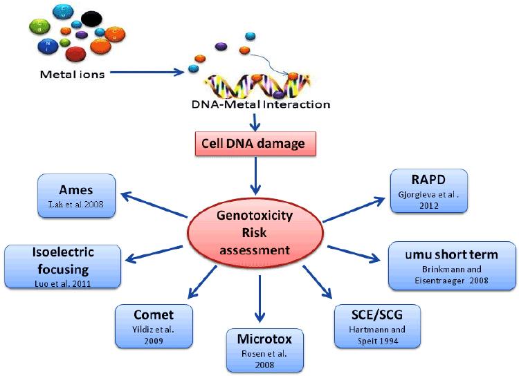 genotoxicity
