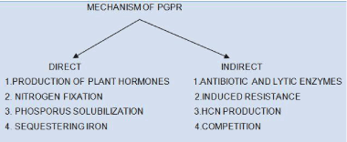 Mechanisms