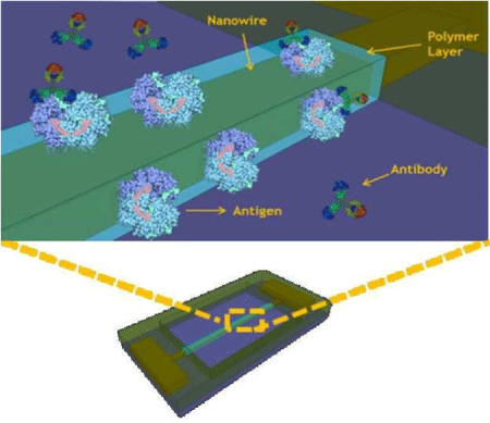 immunoassay