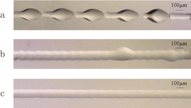 Micrographs