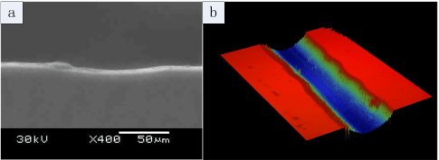 Micrographs