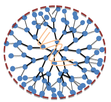 Dendrimers