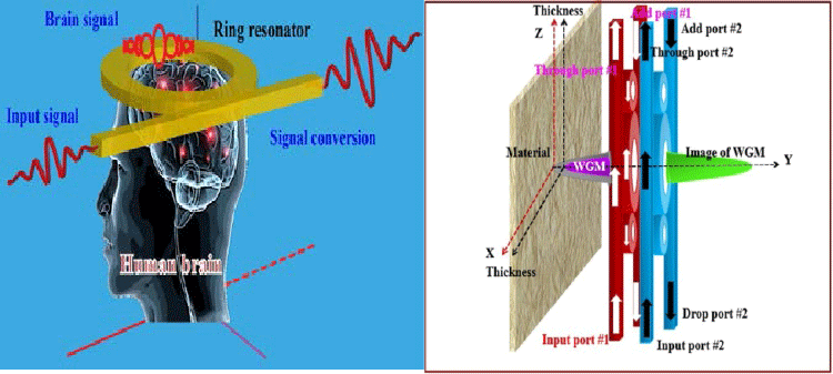 oscillation
