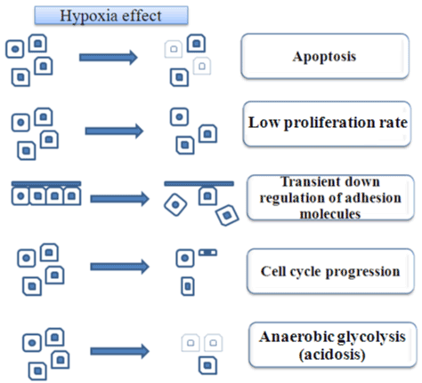 biochemical