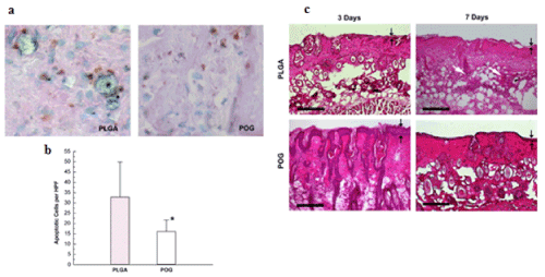 Histological