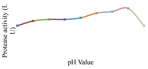 Proteases