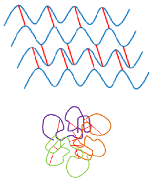 monopolymeric